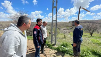 Kırşehir'de elektrik akımına kapılan 4 küçükbaş hayvan telef oldu