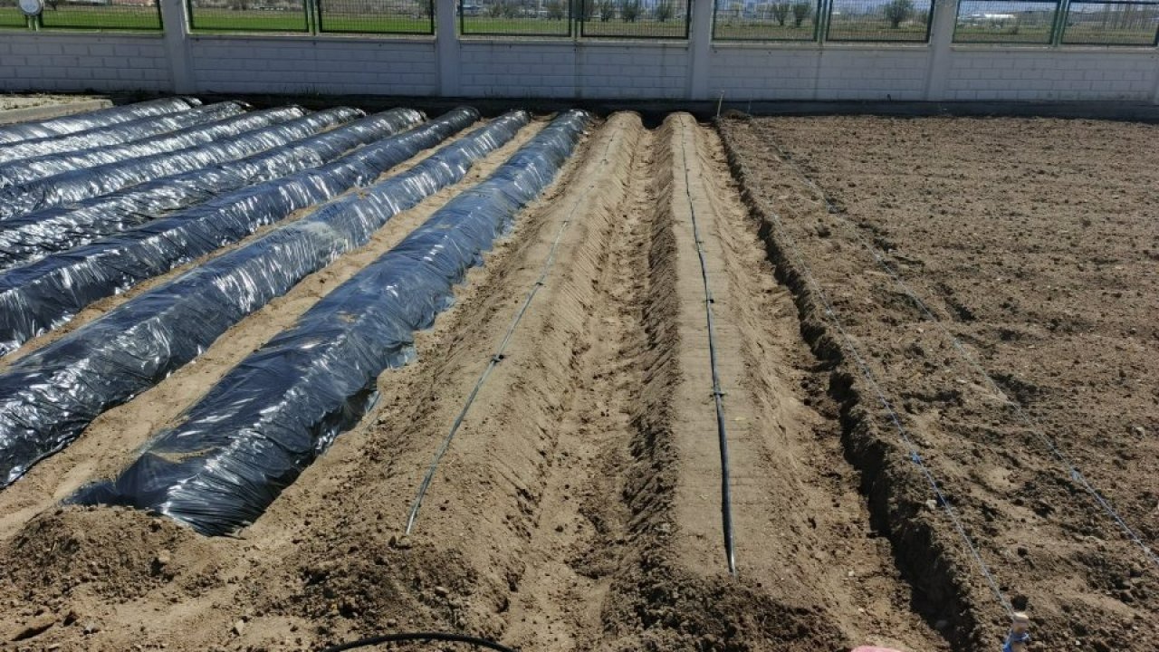 Kayseri'de Doğal Ürünler Bahçesi ve Pazarı'nda yeni sezon hazırlıkları başladı