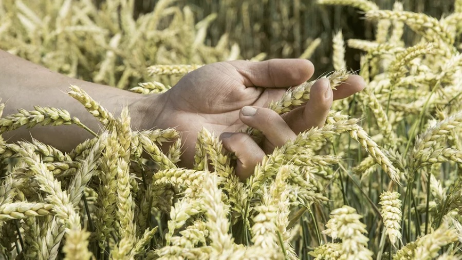Bu yıl "Ders Yılı" olsun