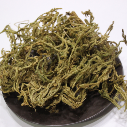 Karaciğeri restore eden “OT”