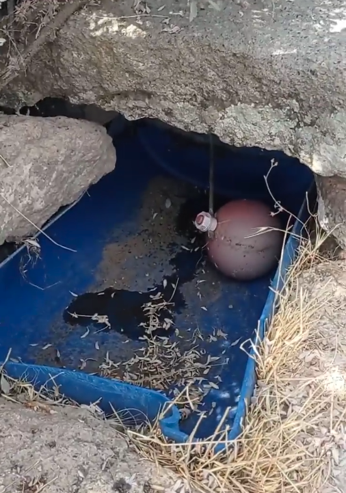 Karadağ'daki yaban hayatı "Susuz kaldı"