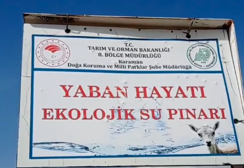 Karadağ'daki yaban hayatı "Susuz kaldı"