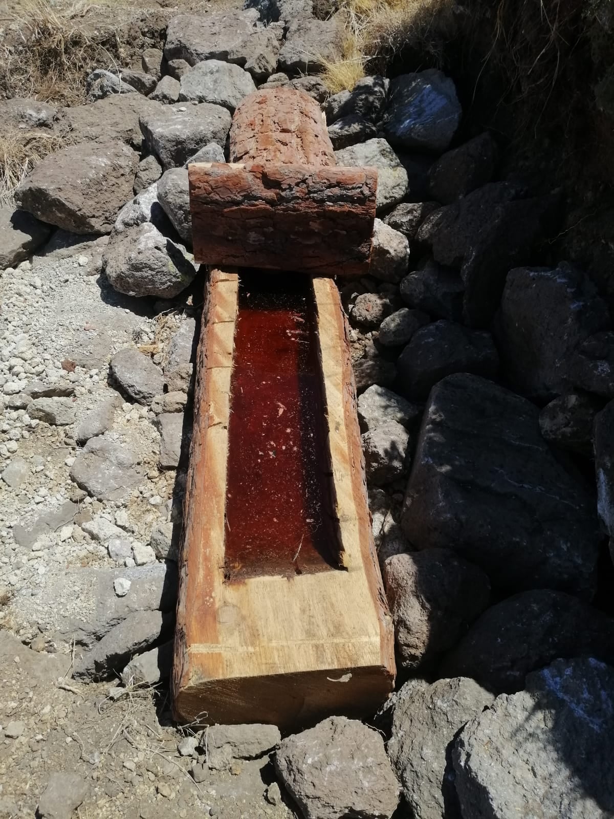 Karadağ'daki yaban hayatı "Susuz kaldı"