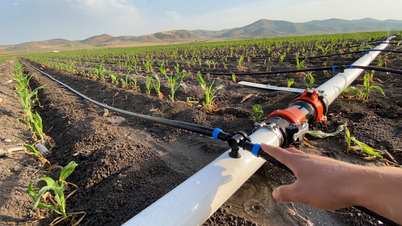 Mardin yol aldı Karaman yolda kaldı
