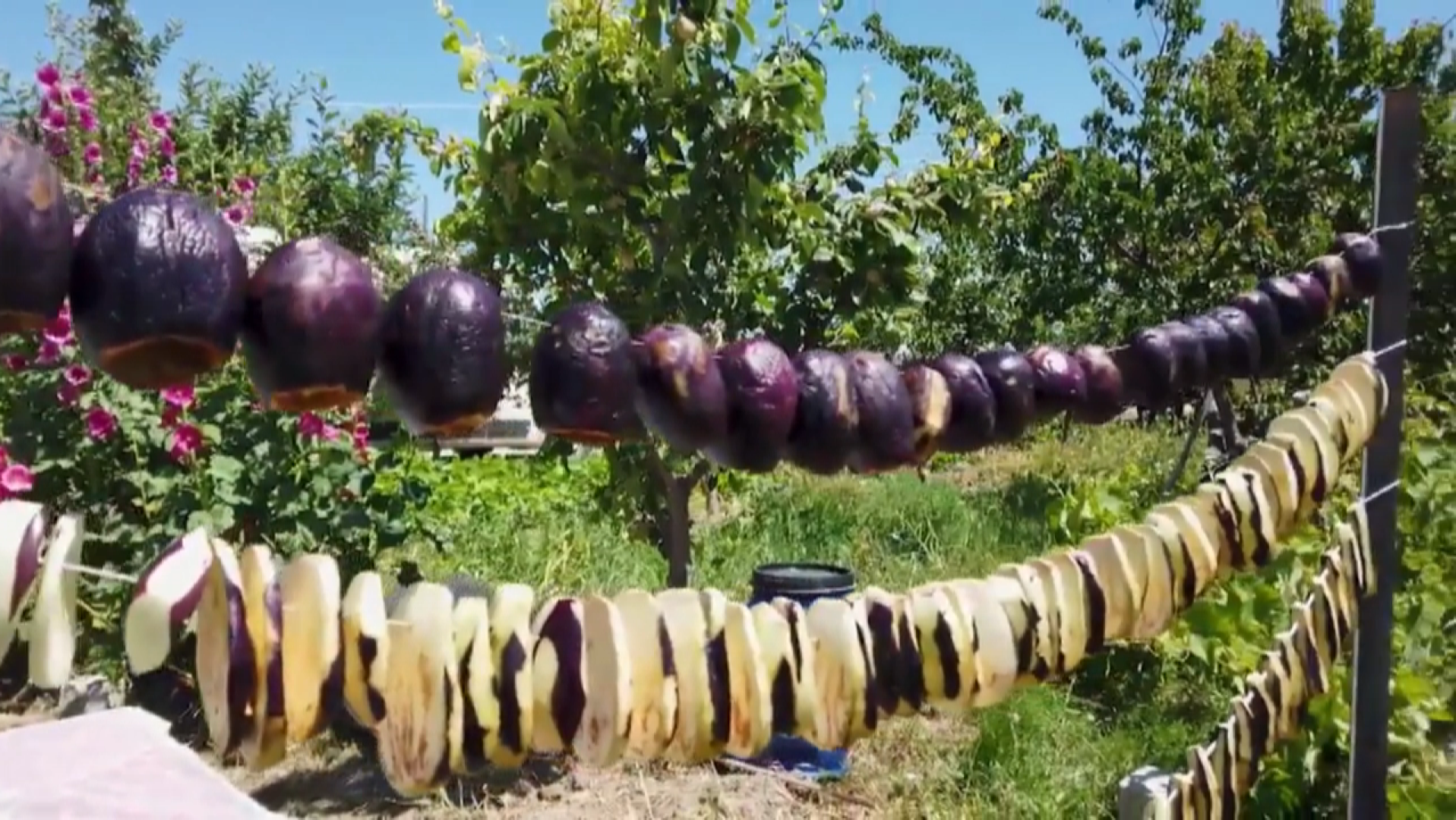 O proje Karaman’da meyvesini veriyor