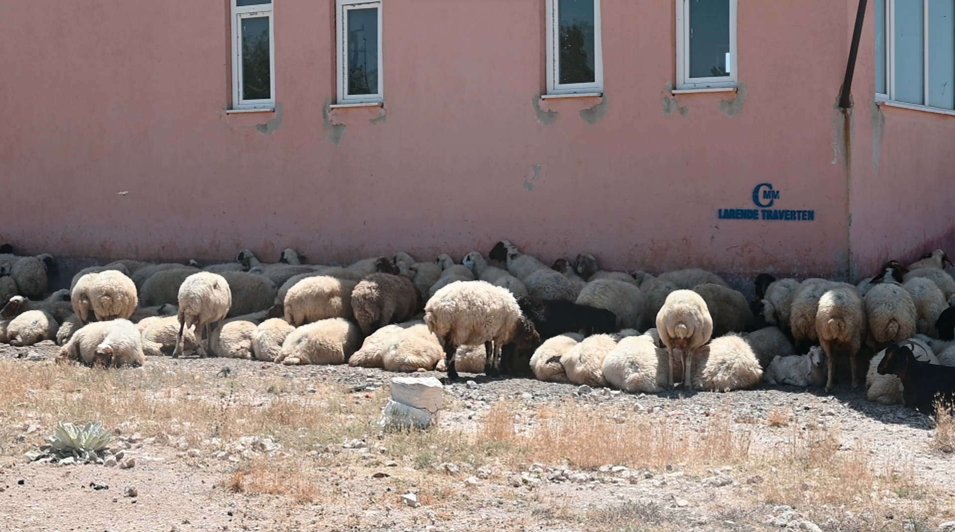 O Mahallede kriz devam ediyor - Karaman
