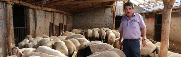 Bari bir torba yem verin - Karaman