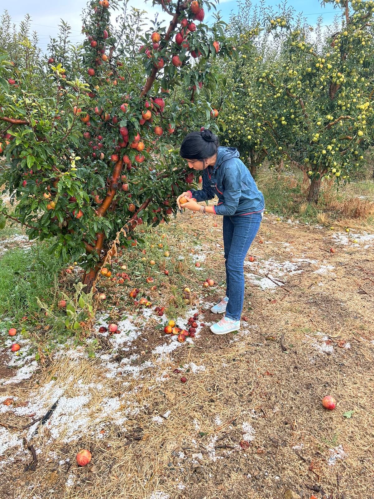 Karalgazi'yi dolu vurdu