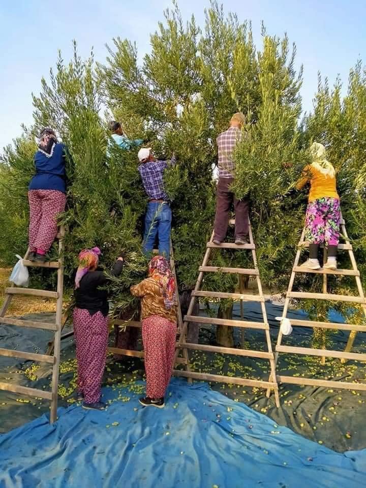 KZOB Bayram insanlığın telaşını pozladı