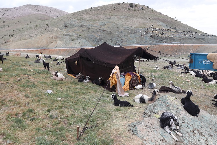 Göç mesaisi başladı