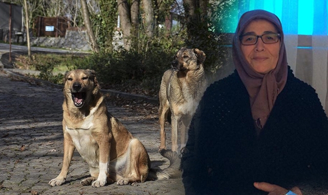 Karaman'da 2023 böyle geçti