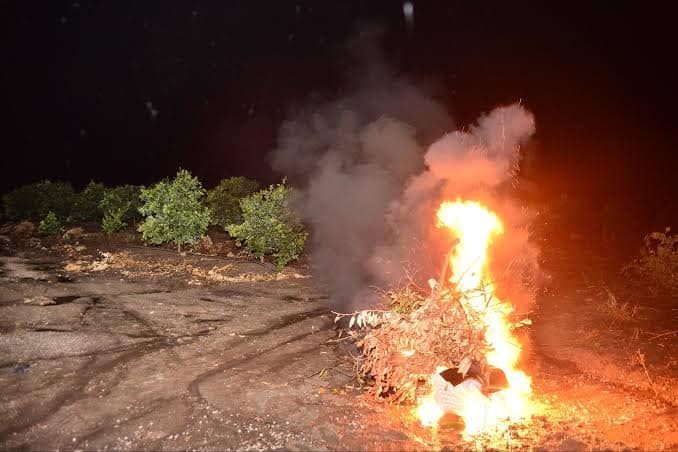 Dondan korunmak için 3 kritik yöntem