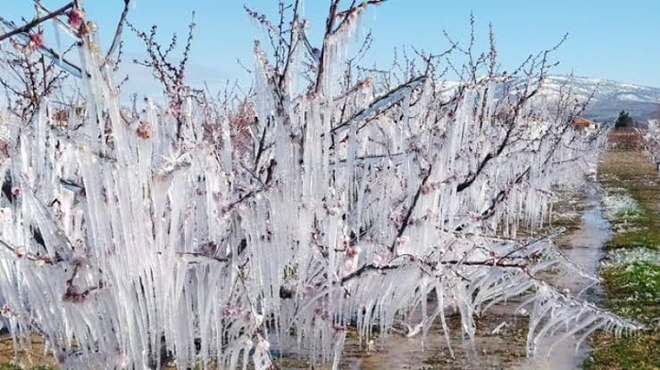 Dondan korunmak için 3 kritik yöntem