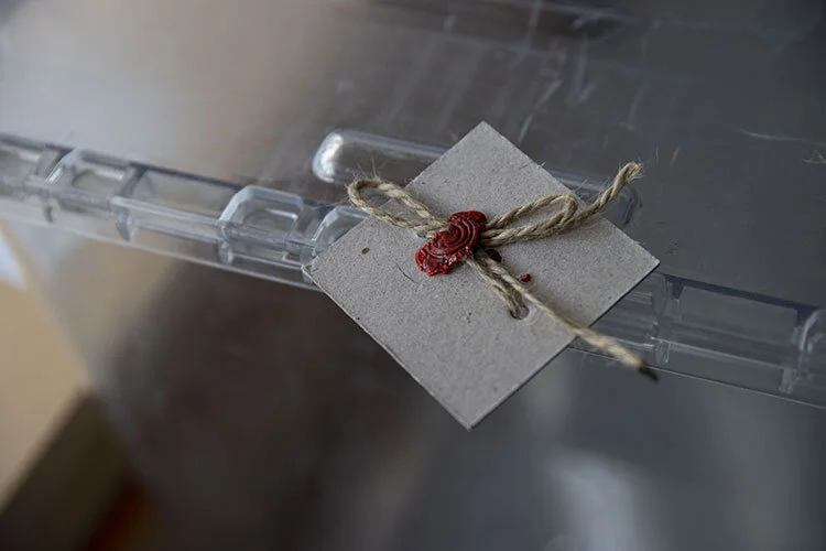 Yarın sandık başına gidiyoruz