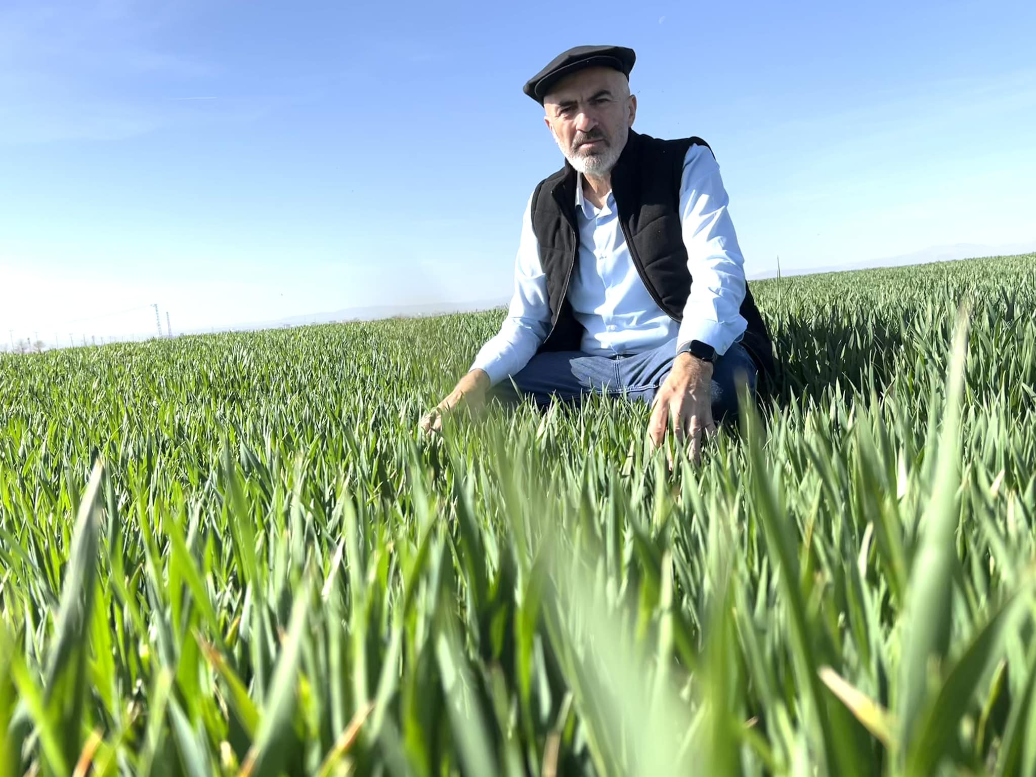 Çiftçi mazot ve gübre destek ödemelerini bekliyor…