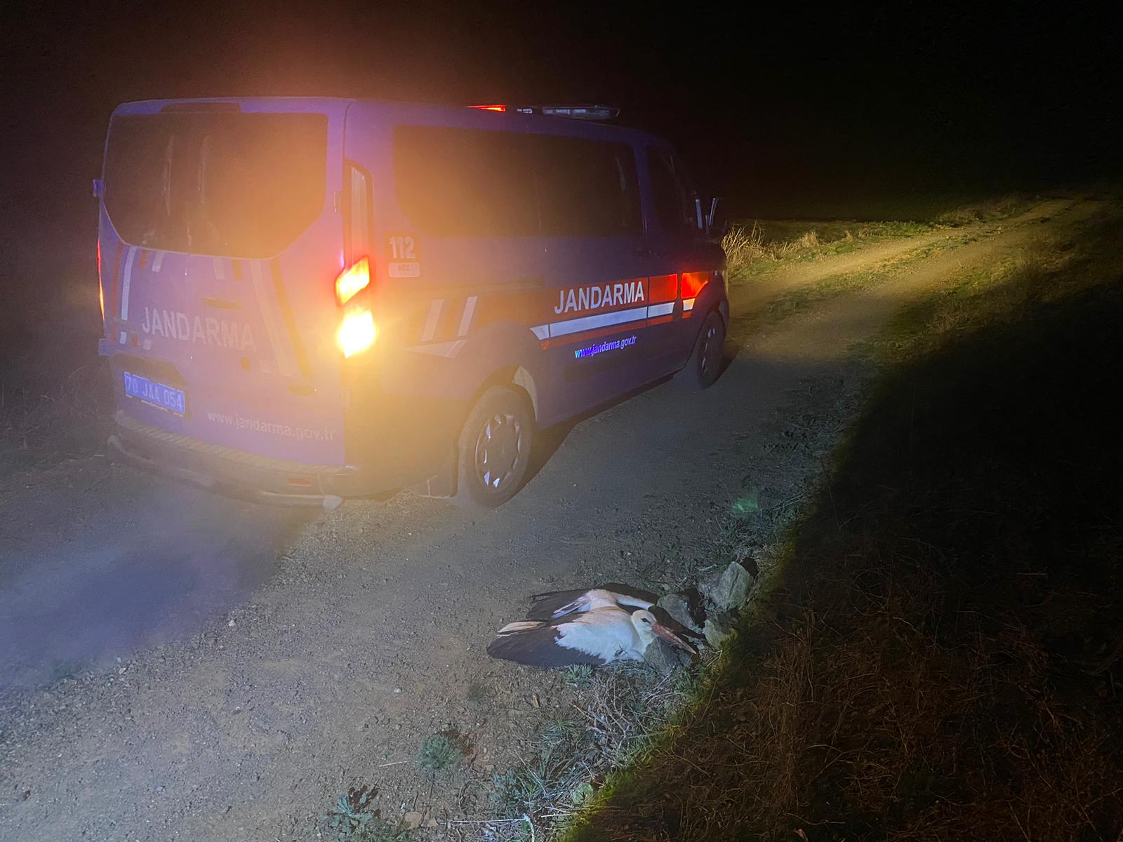 Yaralı bulunan leylek koruma altına alındı
