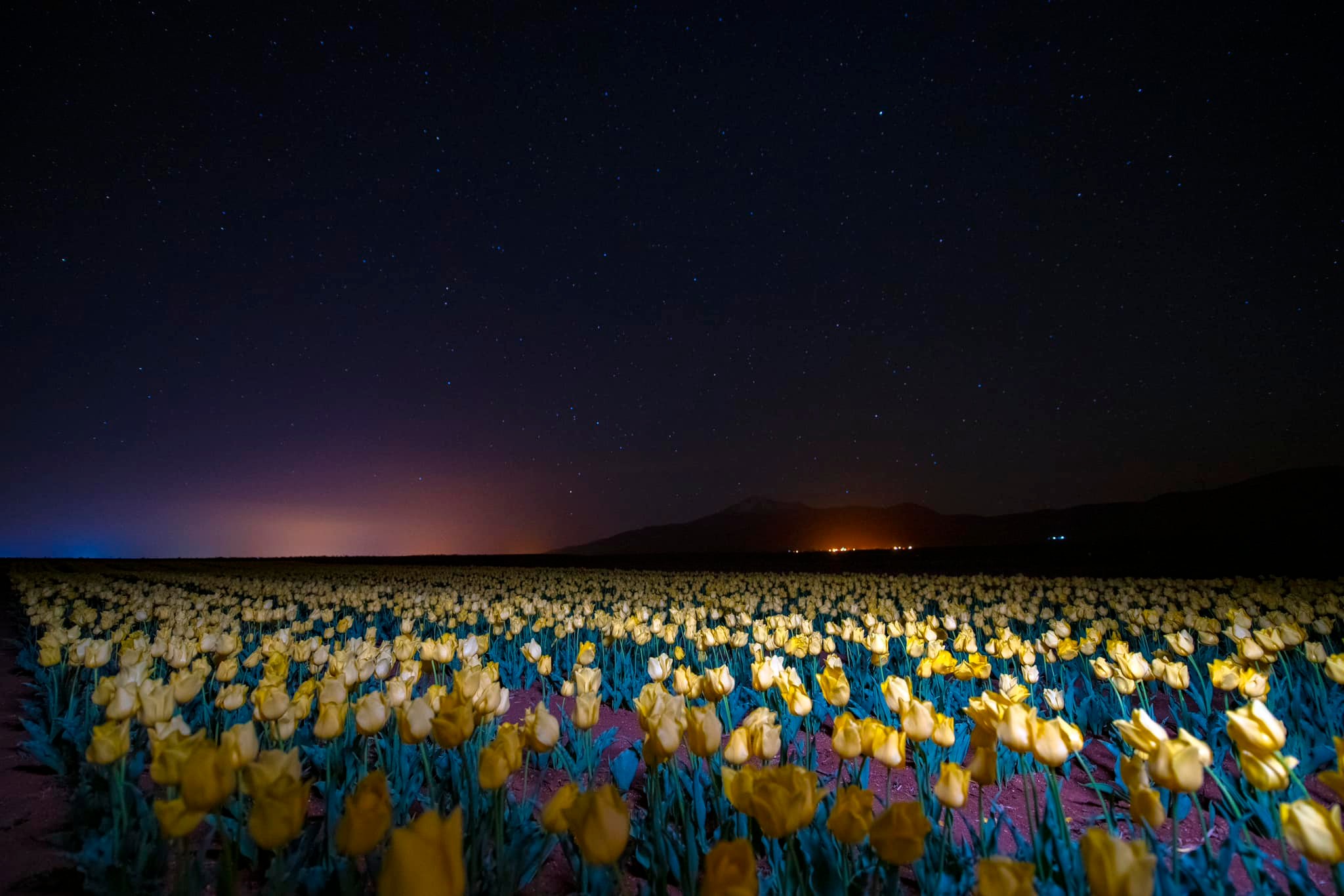 Karaman Valiliği'nden sanatsal çalışma…