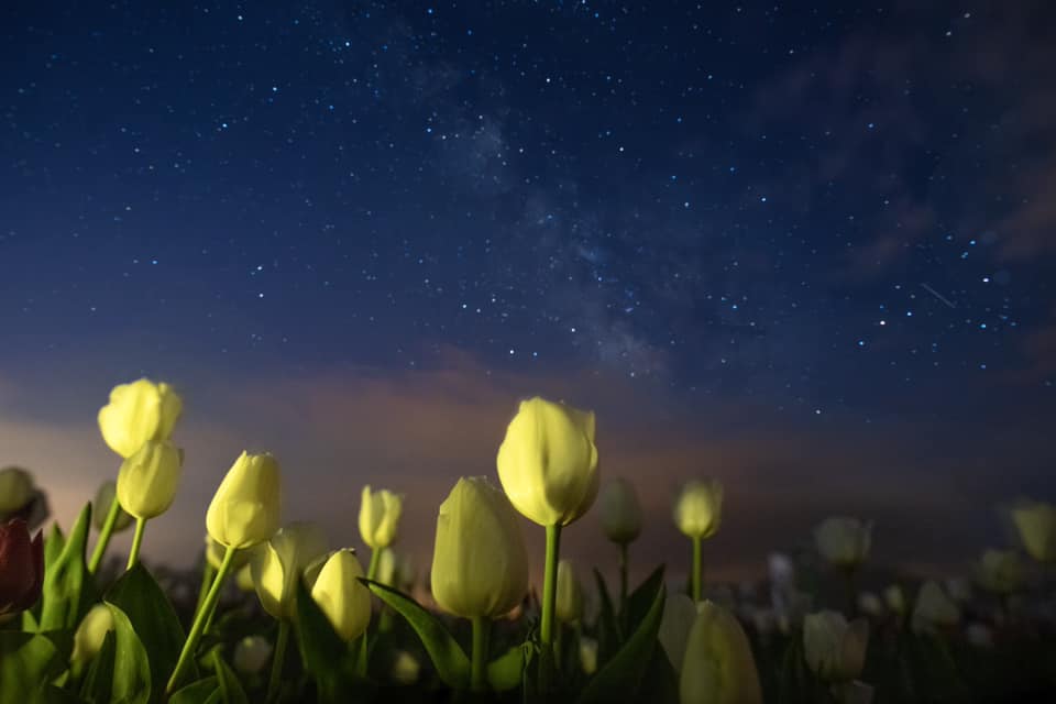 Karaman Valiliği'nden sanatsal çalışma…