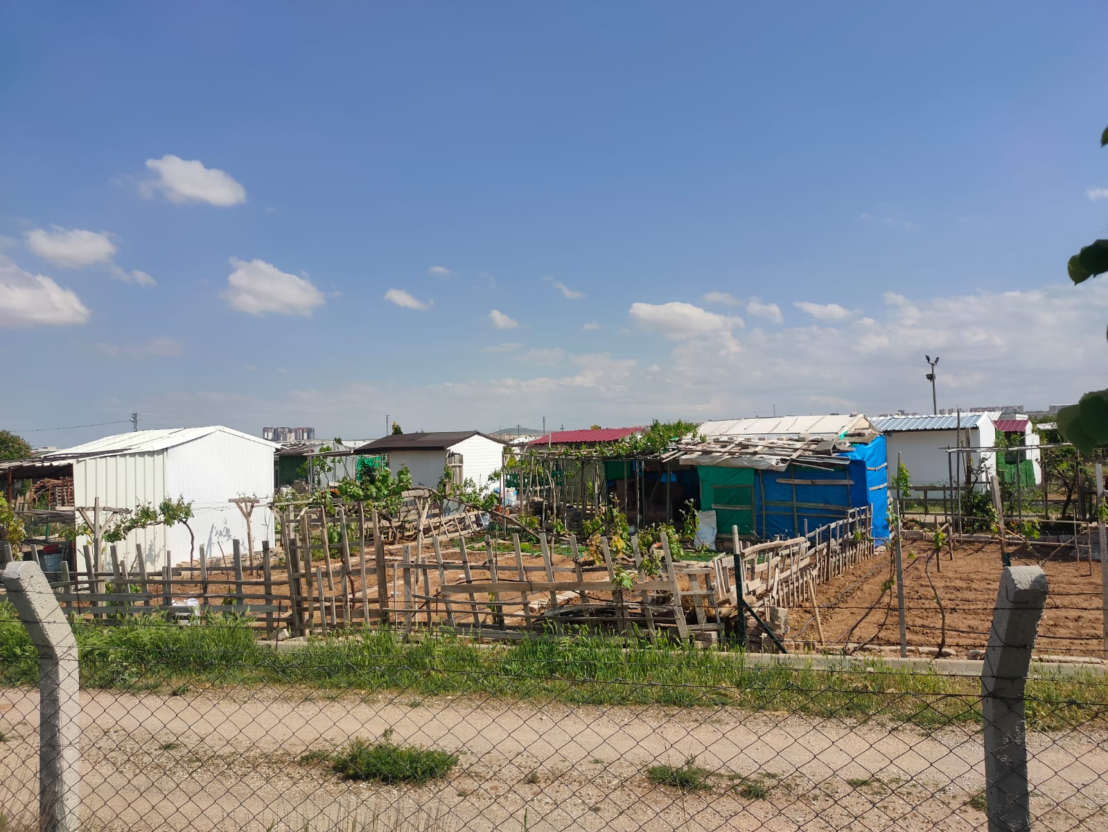 Karaman'daki huzur bahçeleri ranta dönüştü