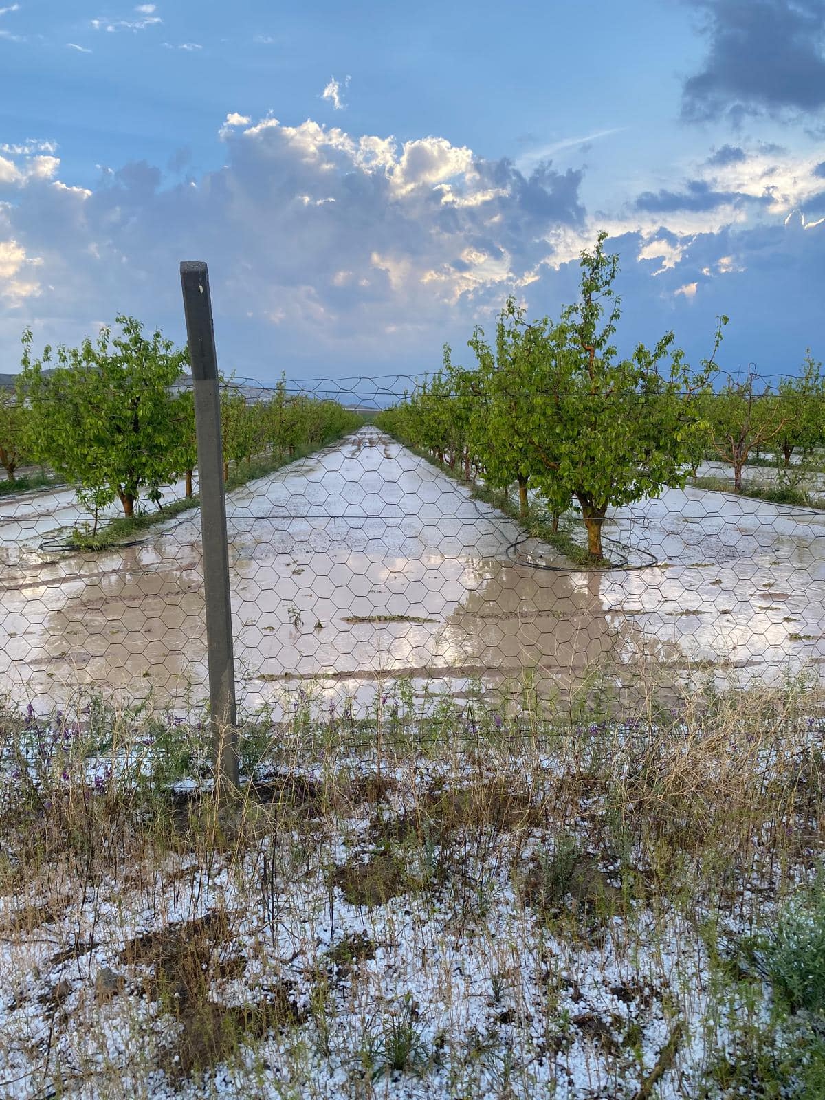 Yaralar hızla sarılacak