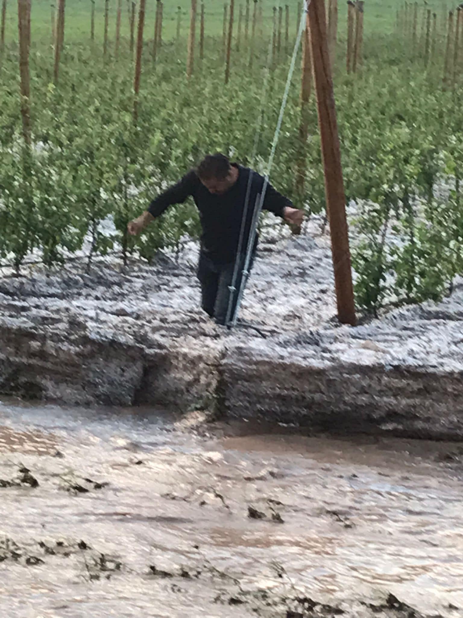 Karaman'da yüzler güldü ancak kriz devam ediyor