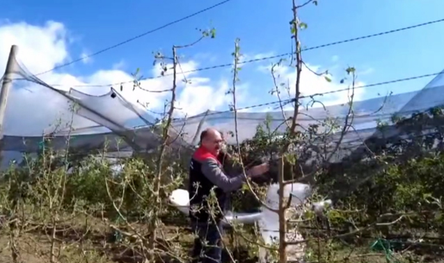 Karaman'da yüzler güldü ancak kriz devam ediyor
