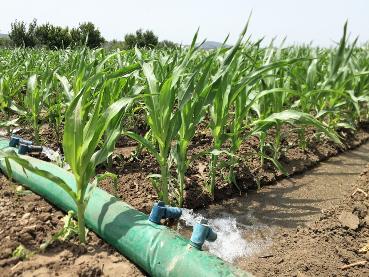 Karaman'da yüzler güldü ancak kriz devam ediyor
