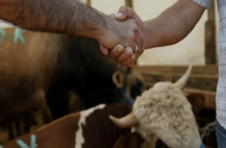 Karaman’daki kurban fiyatlarını açıkladı bir de üreticiyi uyardı…