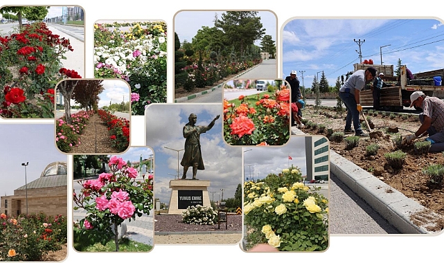 Karaman belediyesi şehre dokunuyor