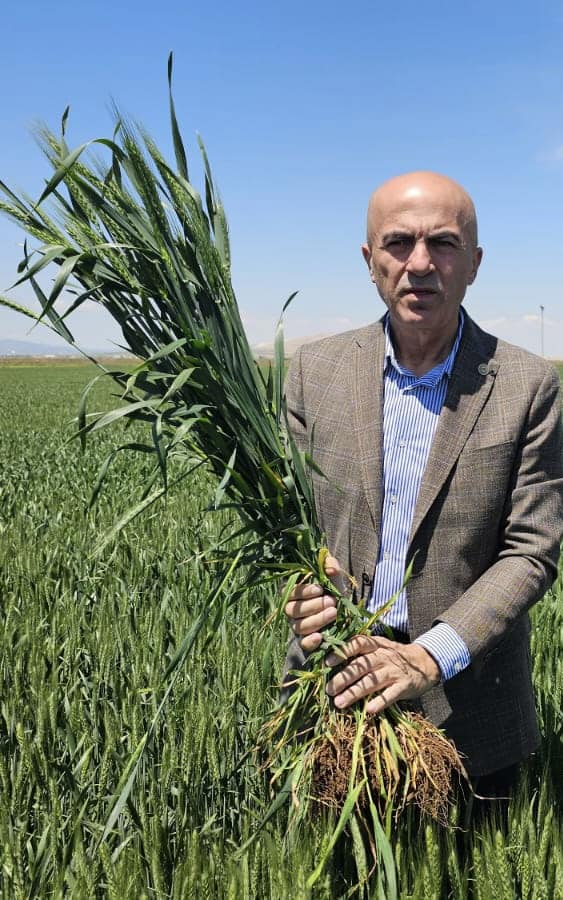 Buğday ve arpa üreticisi enflasyonun altında kaldı