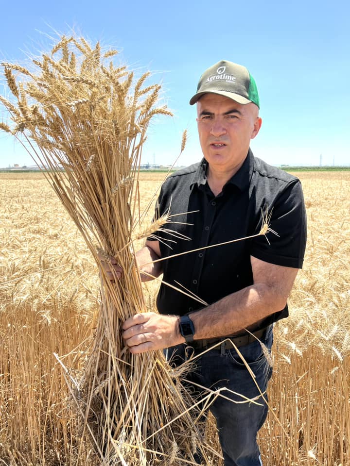 Buğday ve arpa üreticisi enflasyonun altında kaldı