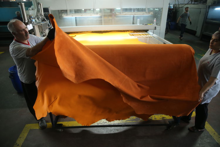 "Kurban derileri milli servet"