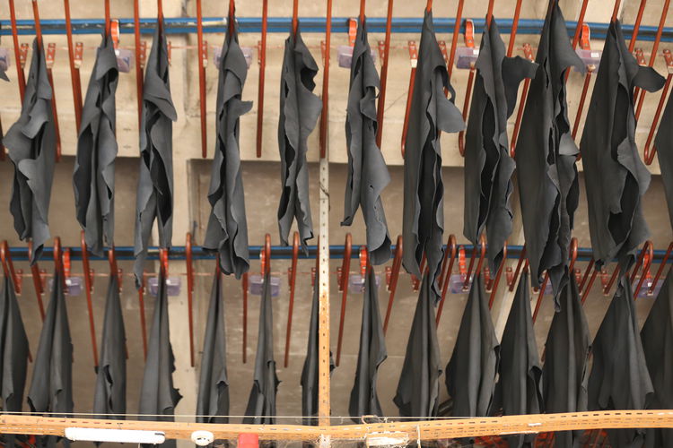 "Kurban derileri milli servet"