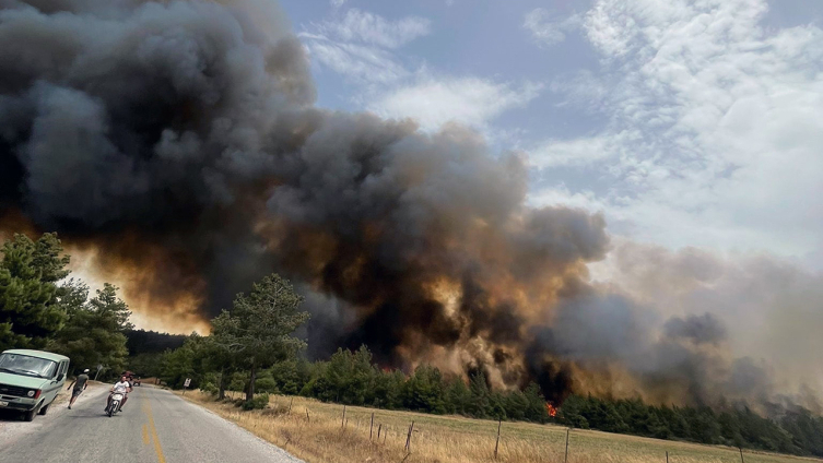 Ciğerimiz yanıyor!