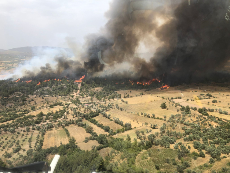 Ciğerimiz yanıyor!