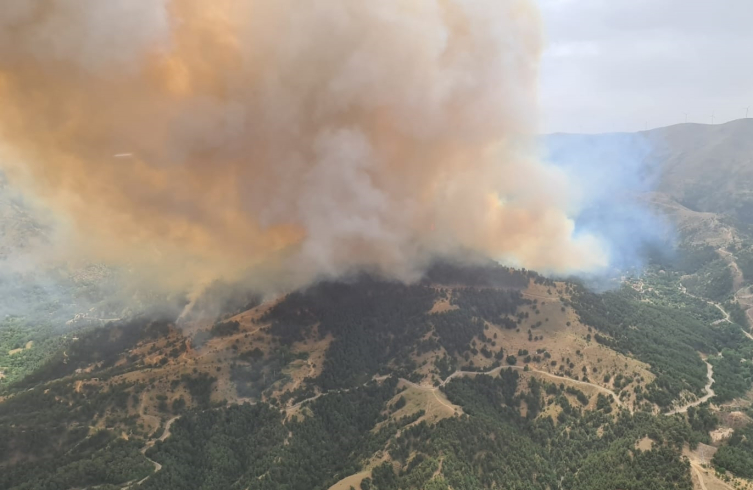 Ciğerimiz yanıyor!
