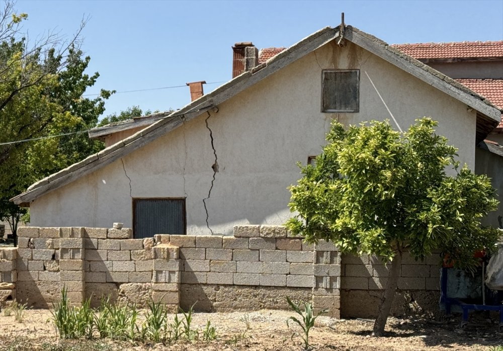 Mısır ekimi arttıkça tehlike büyüyor