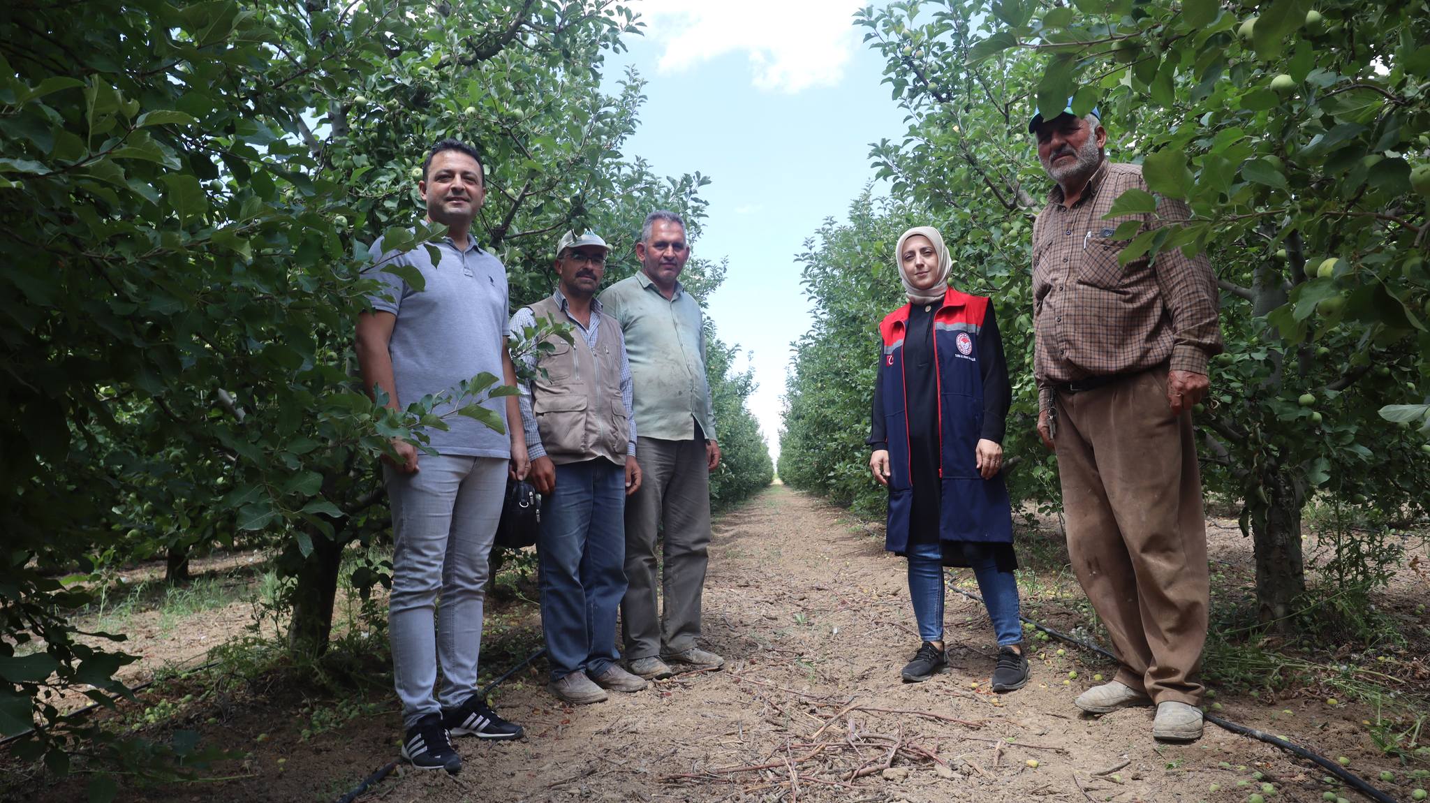 “Karaman Elması’nın” kalitesi için harekete geçildi