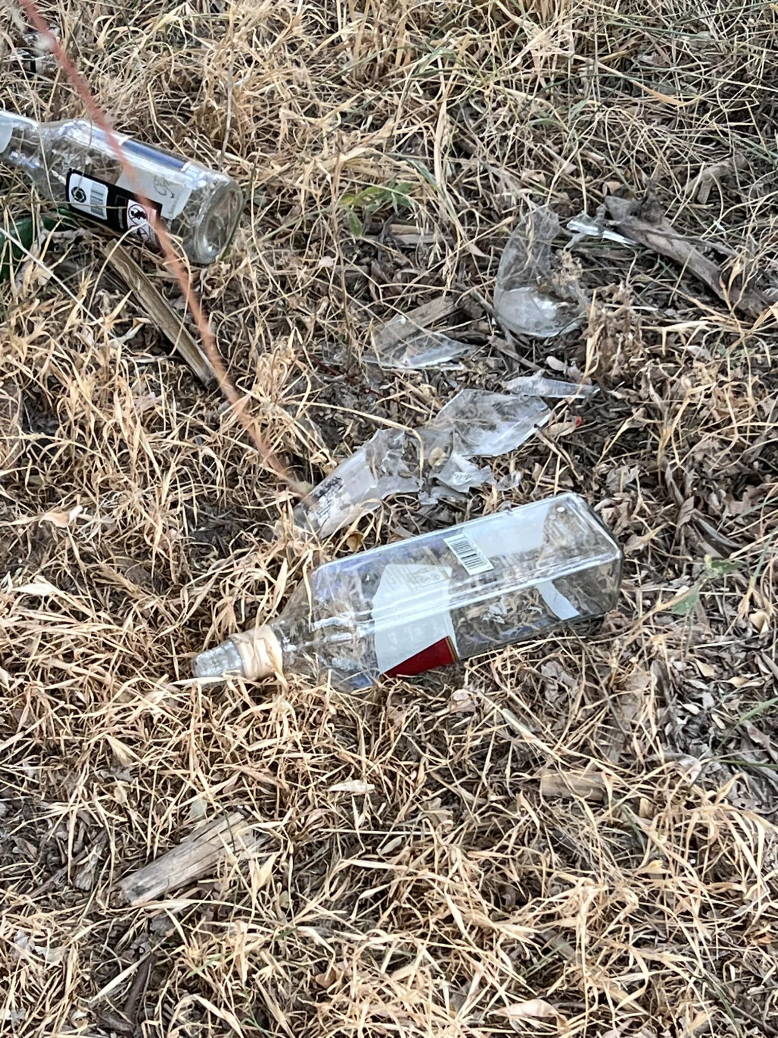 Başkan Bayram'dan kritik uyarı