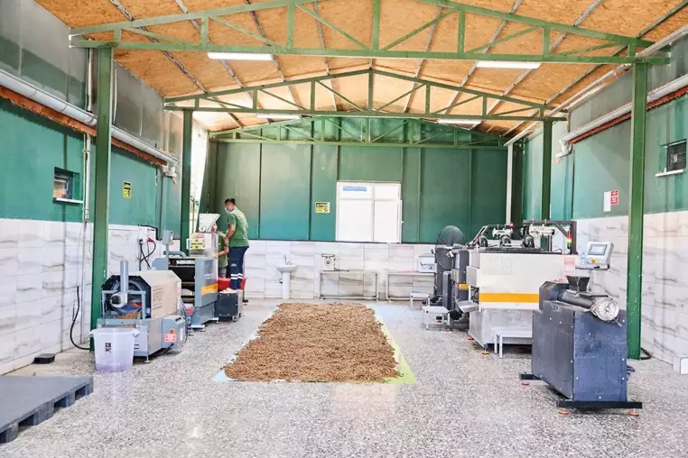 Bu çözüm Türkiye’ye örnek olsun – Sokak hayvanlarına kadın eli değdi