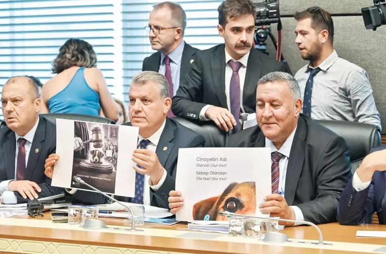 Bu çözüm Türkiye’ye örnek olsun – Sokak hayvanlarına kadın eli değdi