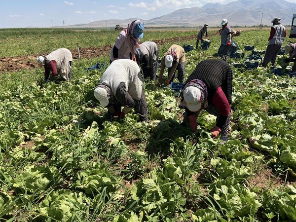 Karaman'daki o piyasa zarar ediyor