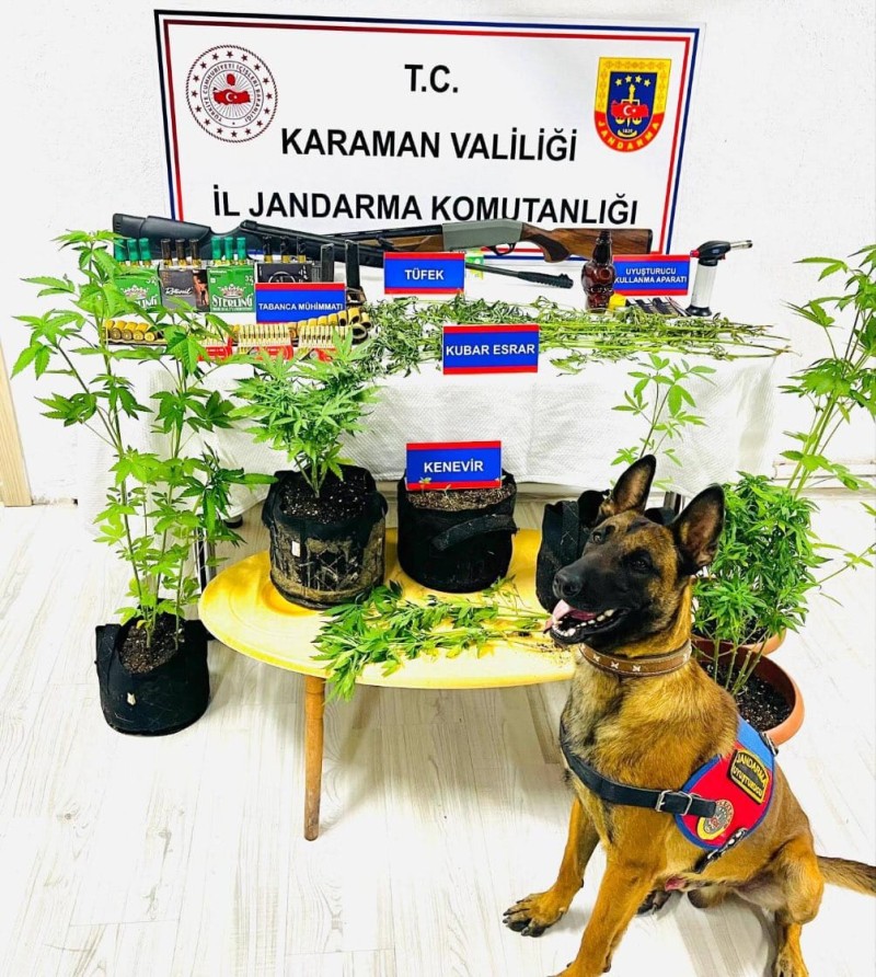 Karaman’daki kenevircilerin kabusu oldu