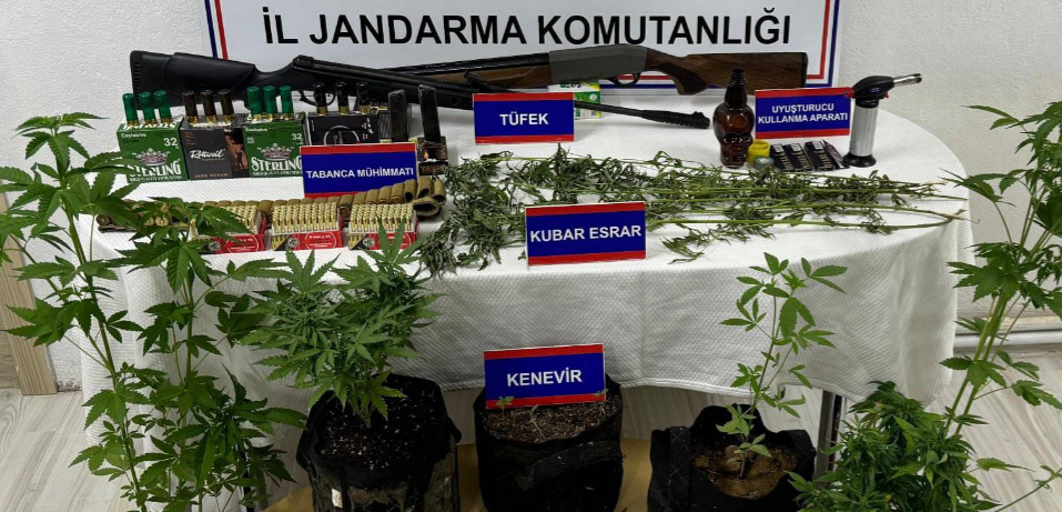 Karaman’daki kenevircilerin kabusu oldu