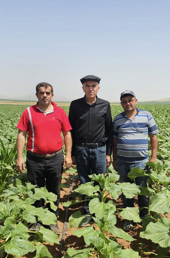 Serbest piyasa kisvesi altında bilinçli ve planlı soygun yapılıyor