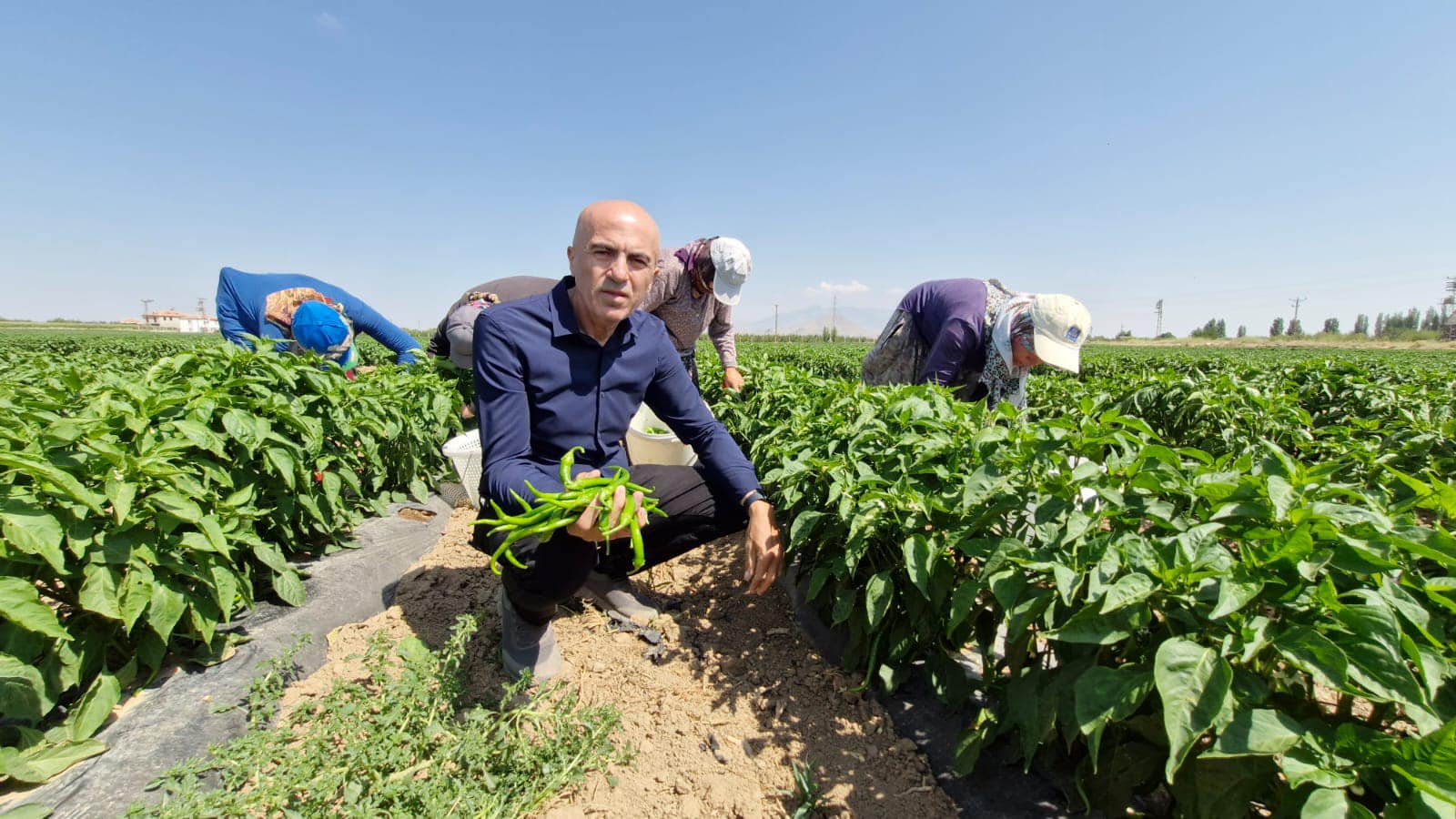 Serbest piyasa kisvesi altında bilinçli ve planlı soygun yapılıyor