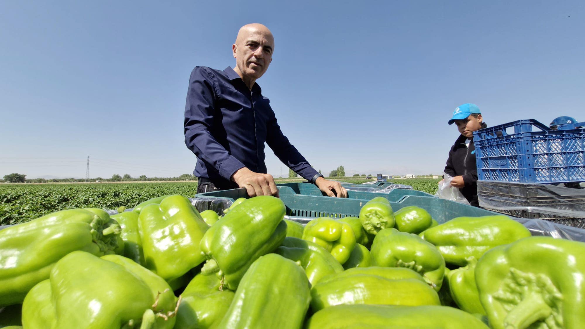 Serbest piyasa kisvesi altında bilinçli ve planlı soygun yapılıyor