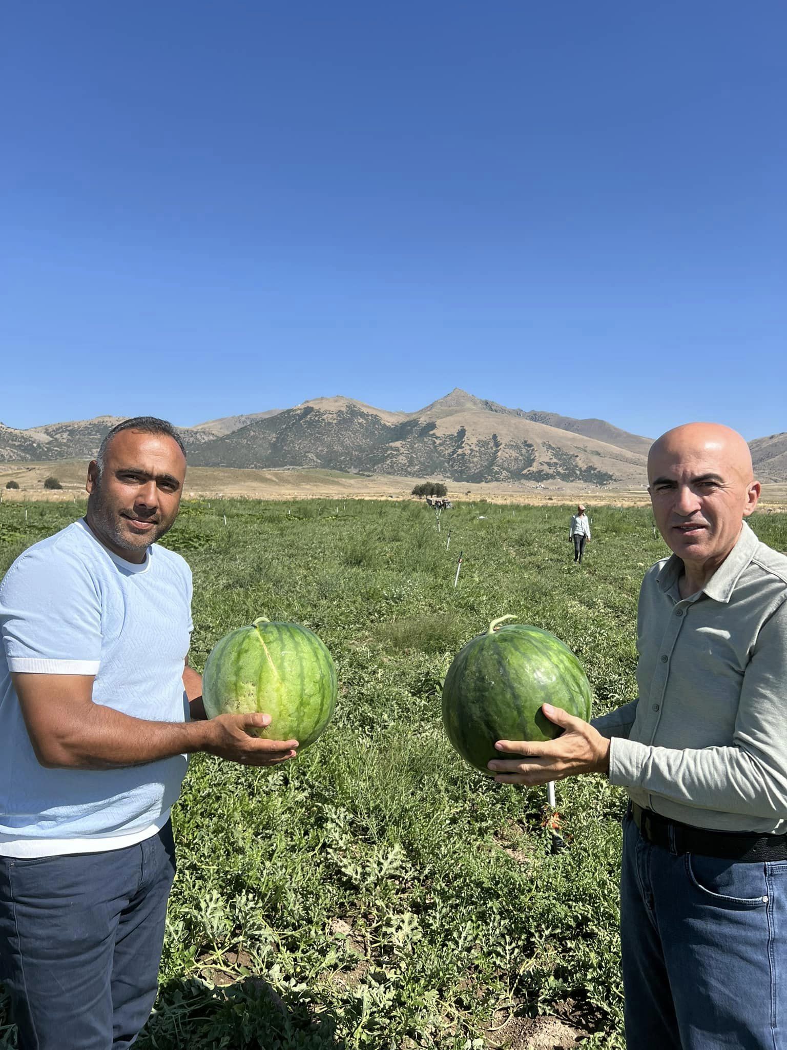 Serbest piyasa kisvesi altında bilinçli ve planlı soygun yapılıyor