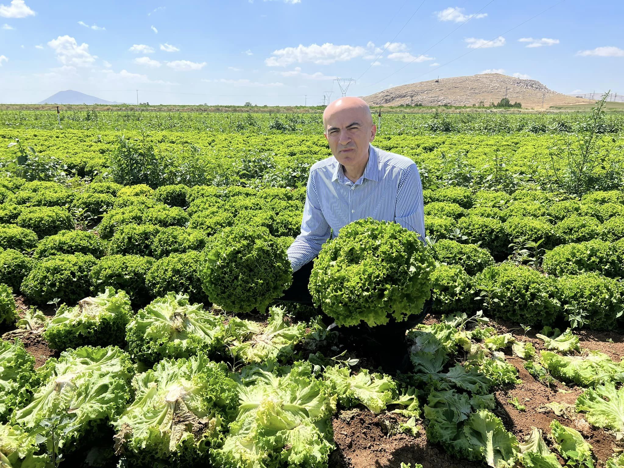 Serbest piyasa kisvesi altında bilinçli ve planlı soygun yapılıyor