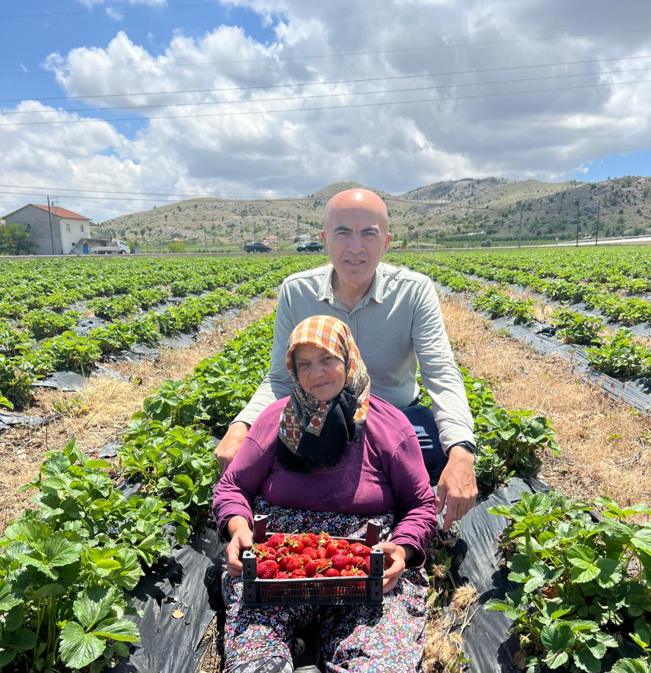 Serbest piyasa kisvesi altında bilinçli ve planlı soygun yapılıyor